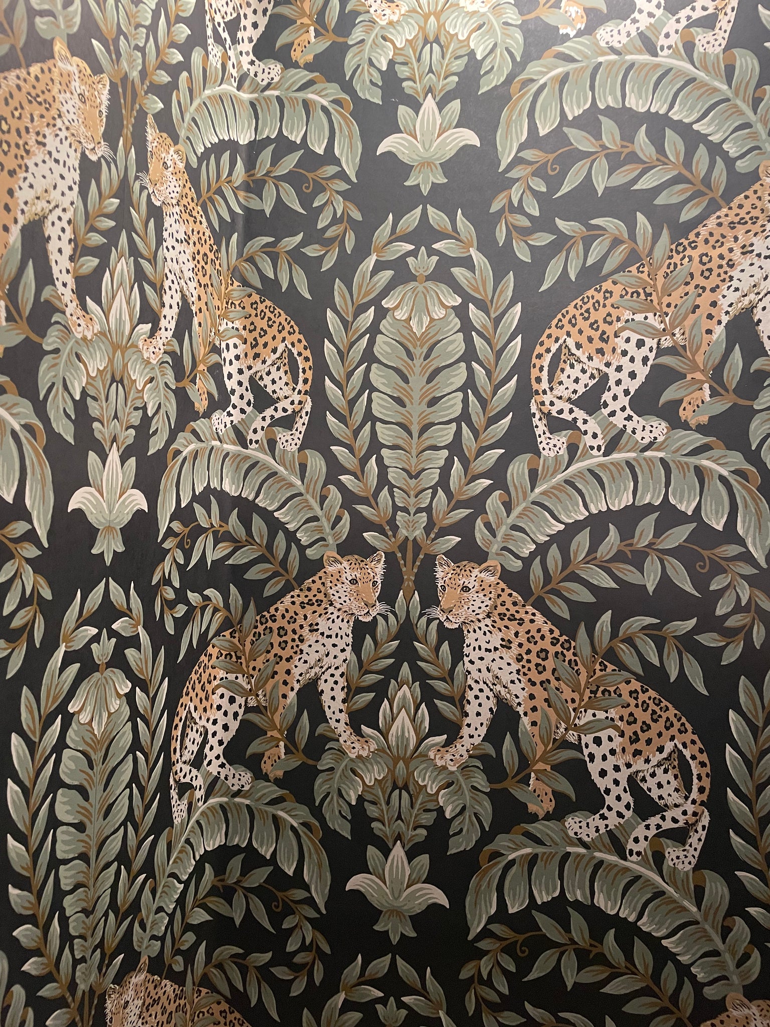 York Wallcoverings KT2205 Jungle Leopard Wallpaper